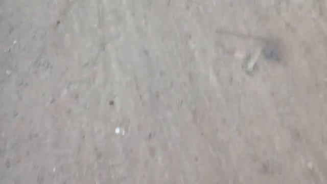 Vlog#1-Карьер—Дача