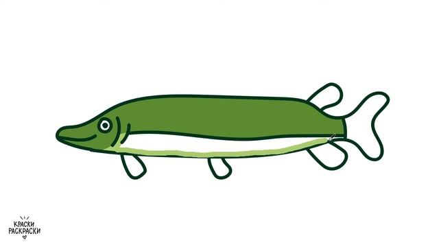 Раскраска РЫБА ЩУКА / Как нарисовать ЩУКУ / Раскраска / Краски Раскраски / How to draw an chameleon смотреть онлайн