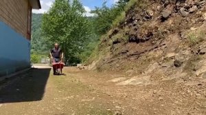 ПЛОВ ИЗ ФАСОЛИ С МЯСОМ  Азербайджанская Кухня Деревенская Кухня  Рецепты