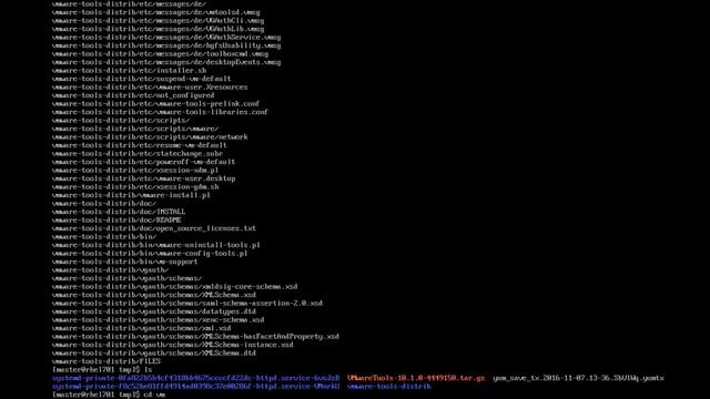 Installing VMWare Tools from Command Line - Linux - RHEL 6 / Cent-OS /Fedora смотреть онлайн