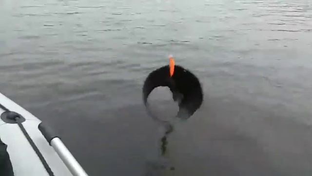 Рыбаки ловили рыбу, а поймали ? смотреть онлайн