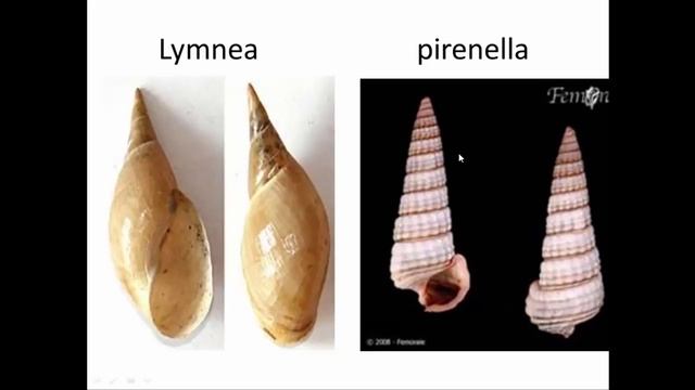 practical para GIT смотреть онлайн