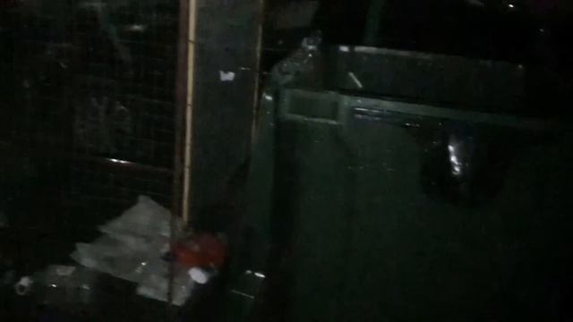 Ночная Еда с ?Мусорки❤️ ?️16?️