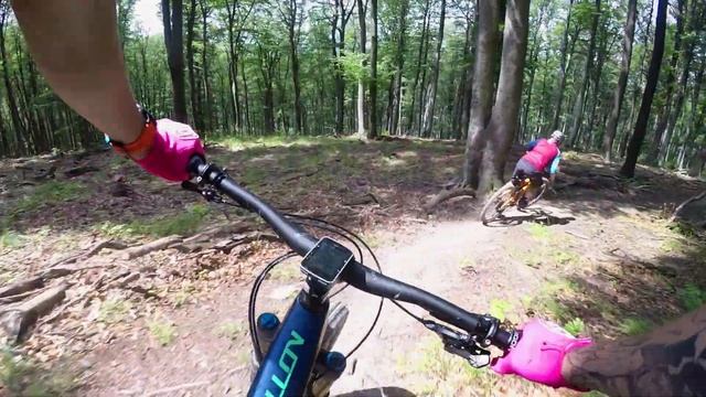 Dornröschen-Trail by Wienerwald Trails смотреть онлайн