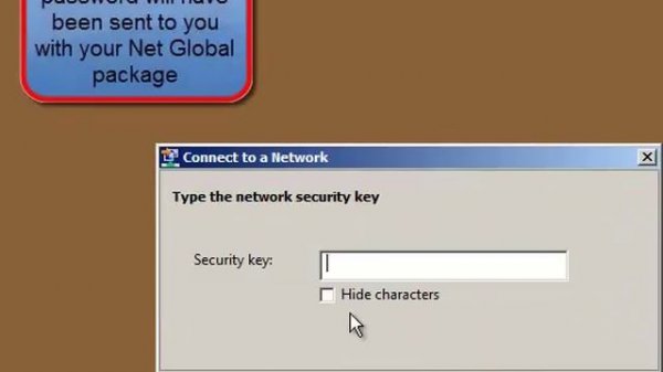 Connect your Net Global router into your home network