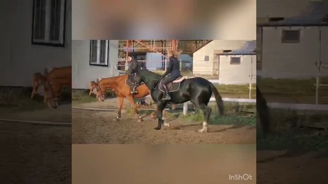 Ооочень крутая кобыла!! Приглядитесь😍😍😍 ТОЛЬКО ЧТО СДЕЛАН ВЕТЧЕК🔥🔥🔥