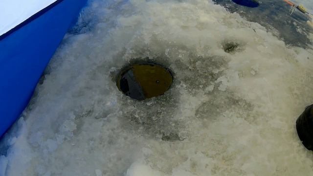 Зимняя поклевка леща на поплавок. 29.01.2022 Яцкое, Оскольское водохранилище смотреть онлайн