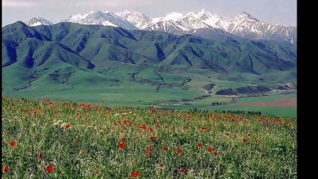 Виа Наристе "Песня о Мин-Куше". смотреть онлайн