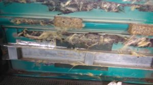 переваривает т-4. Обзор работ и кузовных деталей.часть 1.