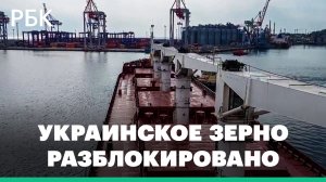Первое судно с украинским зерном покинуло порт Одессы и направилось в Стамбул