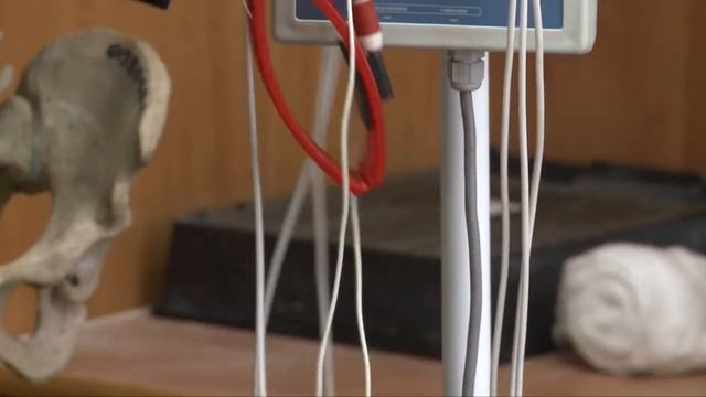 Кем быть? Естественником? смотреть онлайн