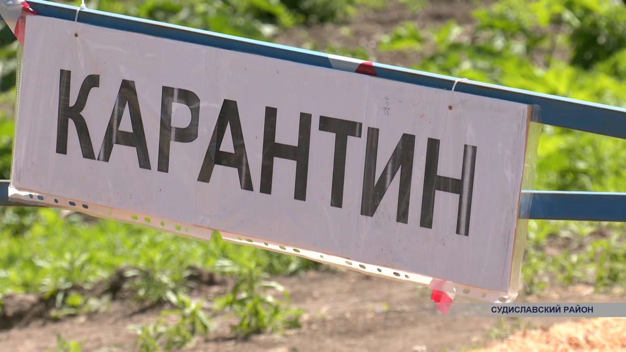 В Костромской области прошли учения по ликвидации условного очага африканской чумы свиней