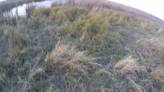 Прогулялись немножко с собакой по утке смотреть онлайн