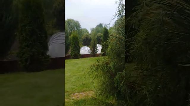 прогулка по саду Гончаровых.2часть смотреть онлайн