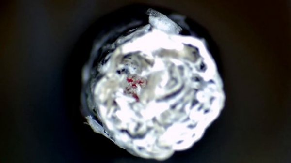 EVERYDAY OBJECTS IN MACRO  / ПОВСЕДНЕВНЫЕ ОБЪЕКТЫ В МАКРО