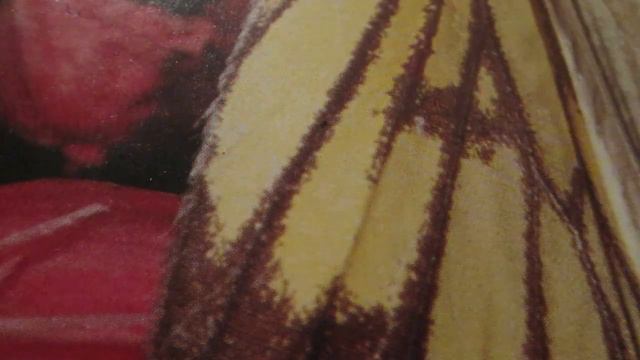 Соединение мозга и тела. Ч. 25.A compound of the brain and body. Ch 25 смотреть онлайн