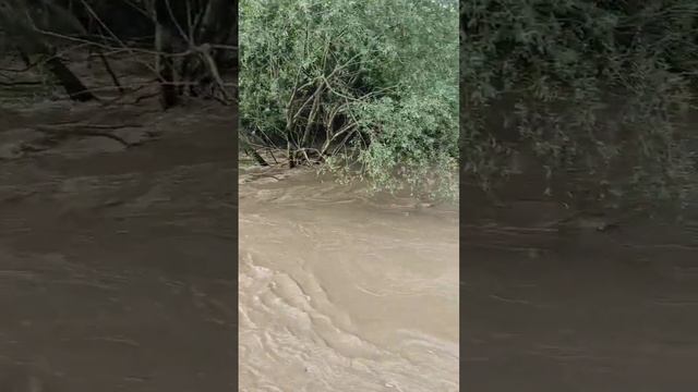 В Крыму река Салгир разбушевалась смотреть онлайн