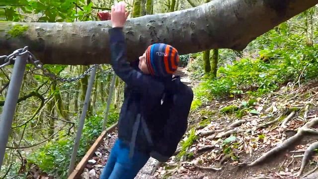 Авторский экотур Ольги Жуйковой "В Глубь веков." 25.03.2017. смотреть онлайн