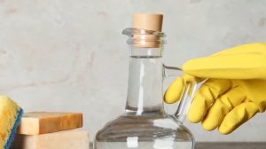 Как убрать запах кошачьей мочи