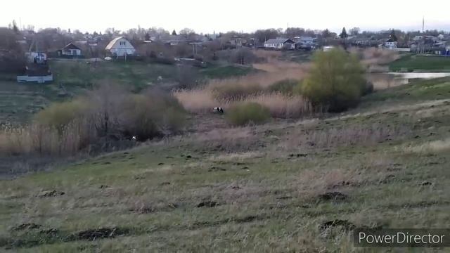 ПОТЕРЯЛИ КОРОВУ. ИСТОРИЯ О СТАДЕ НАШЕГО СЕЛА. БУДНИ. КОРМЛЮ ЯГНЕНКА ИЗ СОСКИ смотреть онлайн