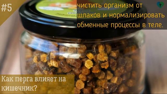 ПЕРГА ПЧЕЛИНАЯ - Польза, КАК ПРИНИМАТЬ, что лечит, полезные свойства и вред, для мужчин, иммунитета смотреть онлайн