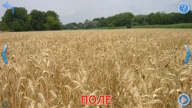 Английский для детей.Природа.Nature. смотреть онлайн