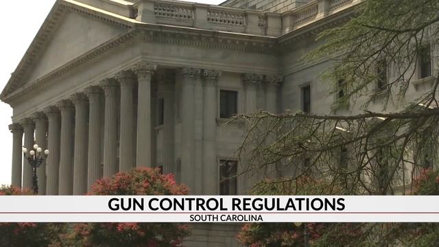 SC lawmakers react to mass shootings; push to revisit background checks and hate crime legislation смотреть онлайн