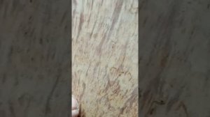 Шлифовка столешницы из капа.
