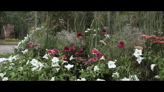 "Все-в сад" 2019-Сибирский ландшафтный фестиваль смотреть онлайн