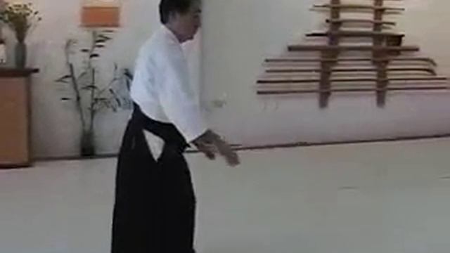 Taichi Style Aikido 42 Forms.mp4
