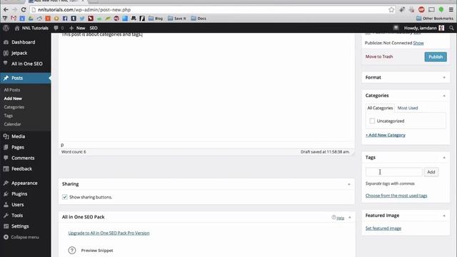 05 Categories VS Tags in Wordpress смотреть онлайн