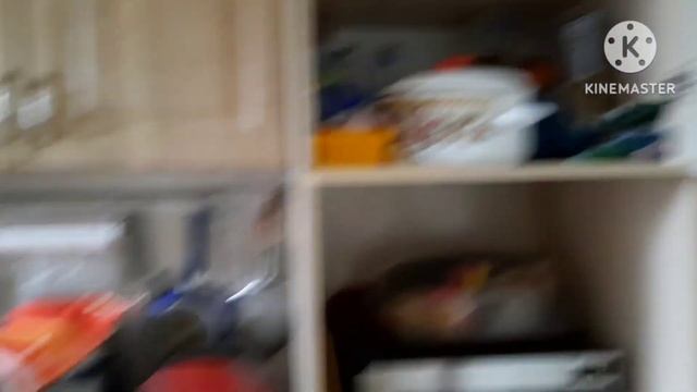 Переезд на юг. Обзор кухни. Готовим солянку. #деревня #переезд #переезднаюг #куры #кубань #солянка смотреть онлайн