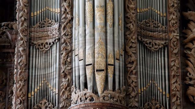 MAGIC ORGAN (portfolio) смотреть онлайн
