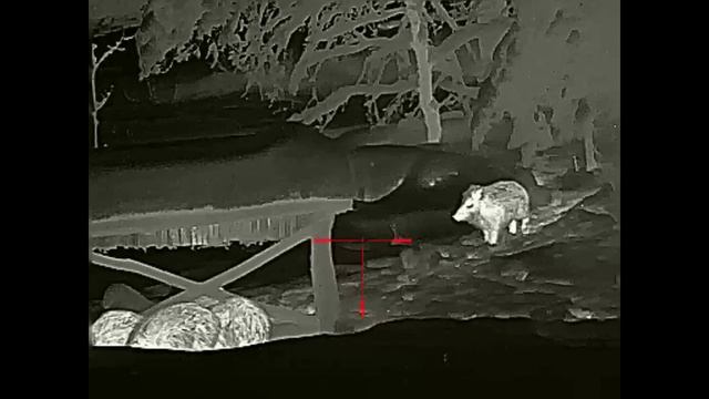 1000017876.mp4 смотреть онлайн