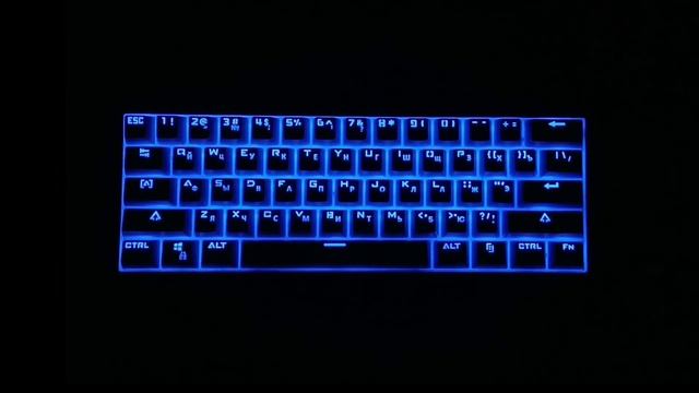 Подсветка клавиатуры Dexp Tanto RGB White смотреть онлайн