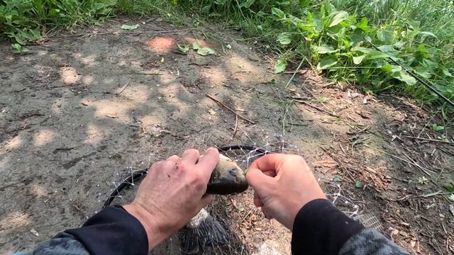 "Едрит твою налево.. всем карасикам карасик" смотреть онлайн
