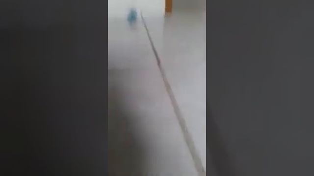 Desafio Da Garrafa ( Bruno Games)