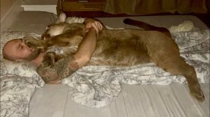 Подъём сегодня был в 4 утра! Пума Месси и его бессонница.