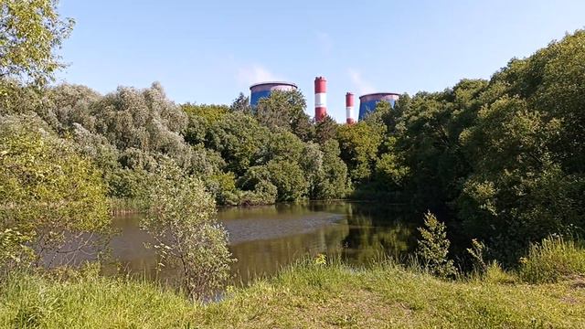 Верхний Навершковский Пруд. 13 июня 2023 год. Очаково-Матвеевское,Москва. смотреть онлайн