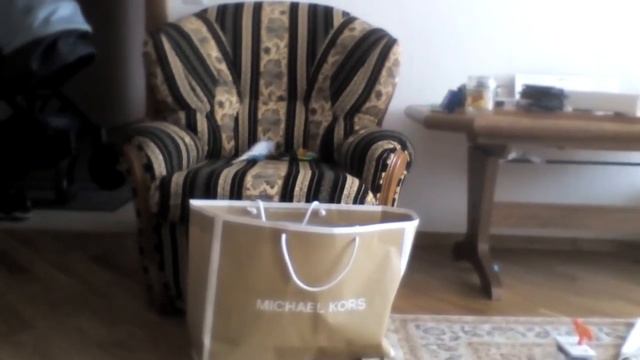 Папугай Тиша чешит попу!!!!!всем смотреть смотреть онлайн