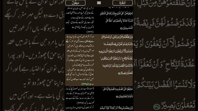 Al Quran with translation / Qari Mishary bin Rashid Alafasy/(2:236-238) AlBaqarah القرآن،اردو،البقر смотреть онлайн