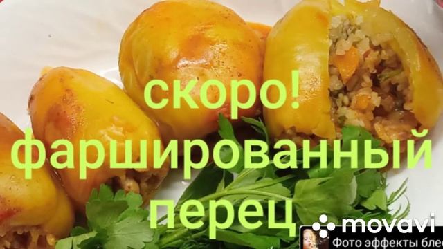 скоро! фаршированный перец. смотреть онлайн