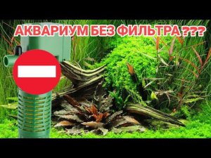 ВОЗМОЖНО ЛИ СОДЕРЖАТЬ АКВАРИУМ БЕЗ ФИЛЬТРА !?