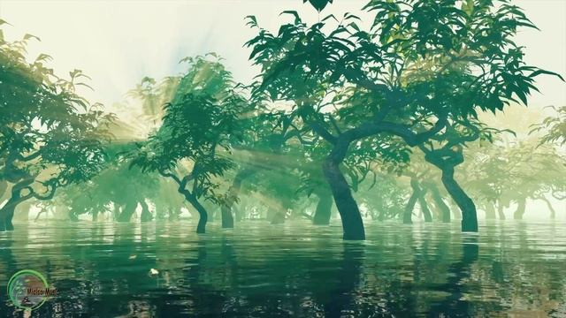 Relaxing Piano Music With Ultimate Nature, Deep Sleep Music, Studying Music, Stress Relief Music⭐️5