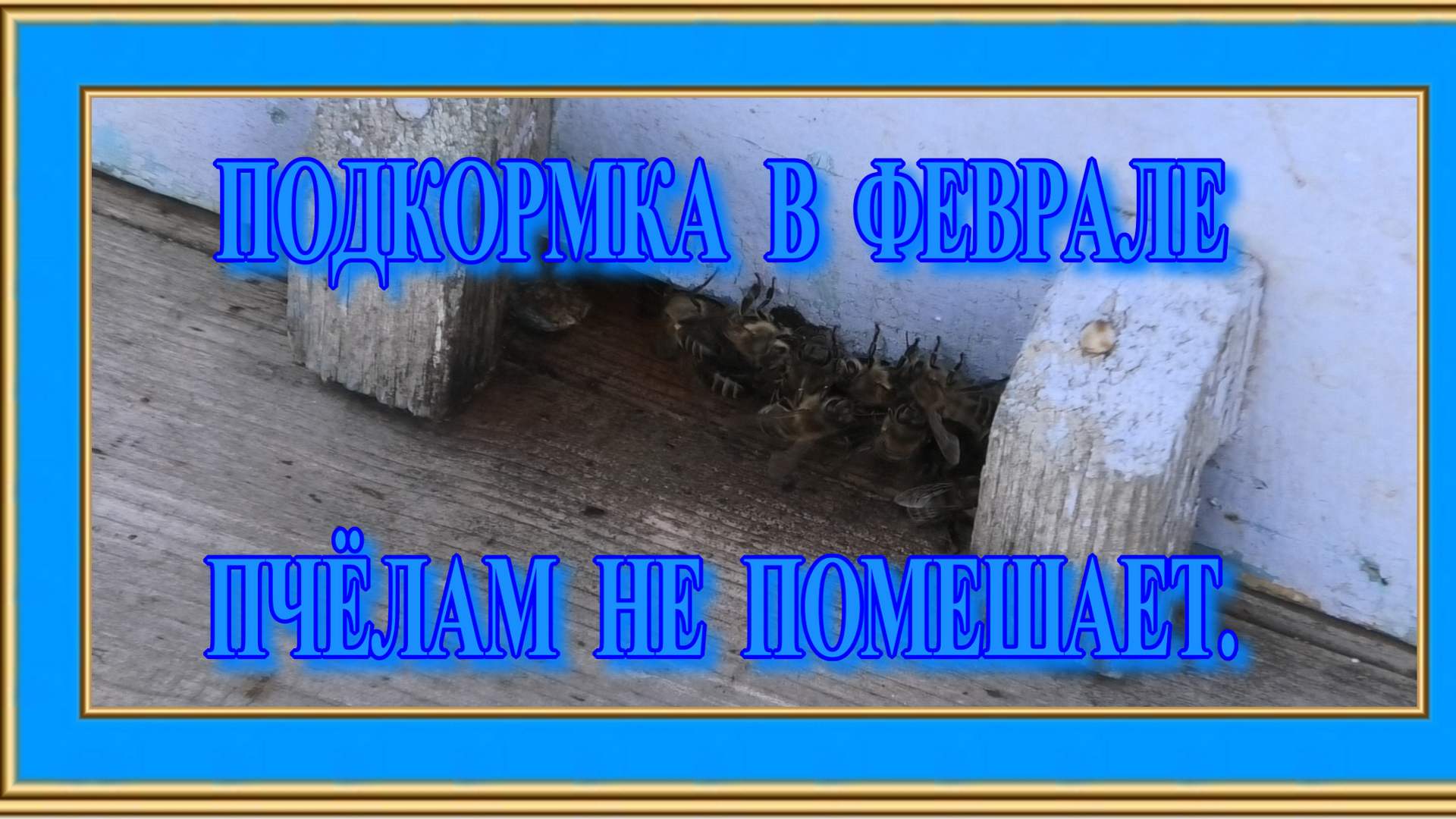 НЕБОЛЬШОЙ ОЧИСТИТЕЛЬНЫЙ ОБЛЁТ. смотреть онлайн