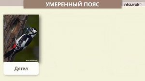 Открытый урок (глобус-модель земли)__