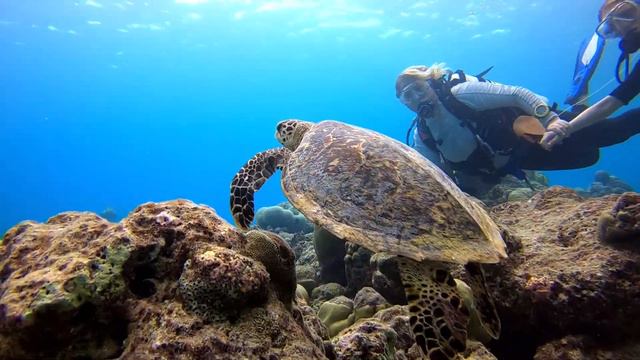 Seaside Finolhu - Baa Atoll смотреть онлайн