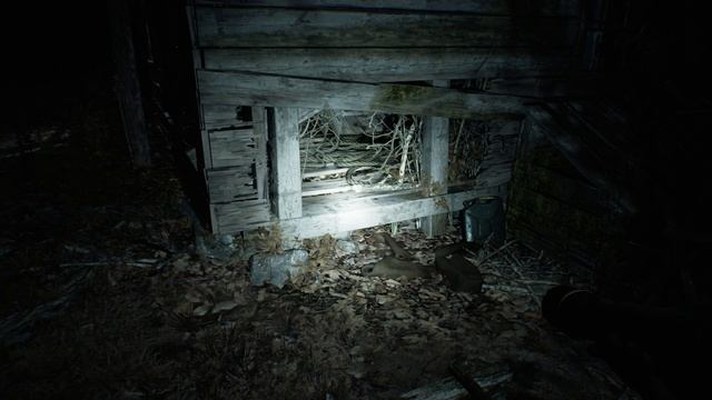 ИгроФильм BLAIR WITCH (100%: Все фото, фигурки, мусор, жетоны, заметки психиатра)