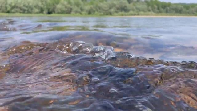 Звуки воды, медитация, река, горная река, речка, журчание реки смотреть онлайн