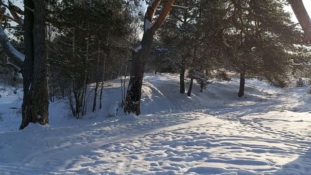 Окрестности села Махра Александровский район Владимирская область. смотреть онлайн